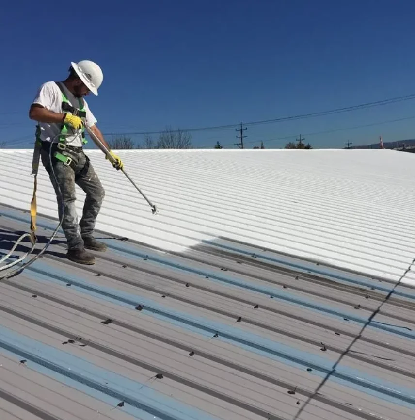 man paint the roof